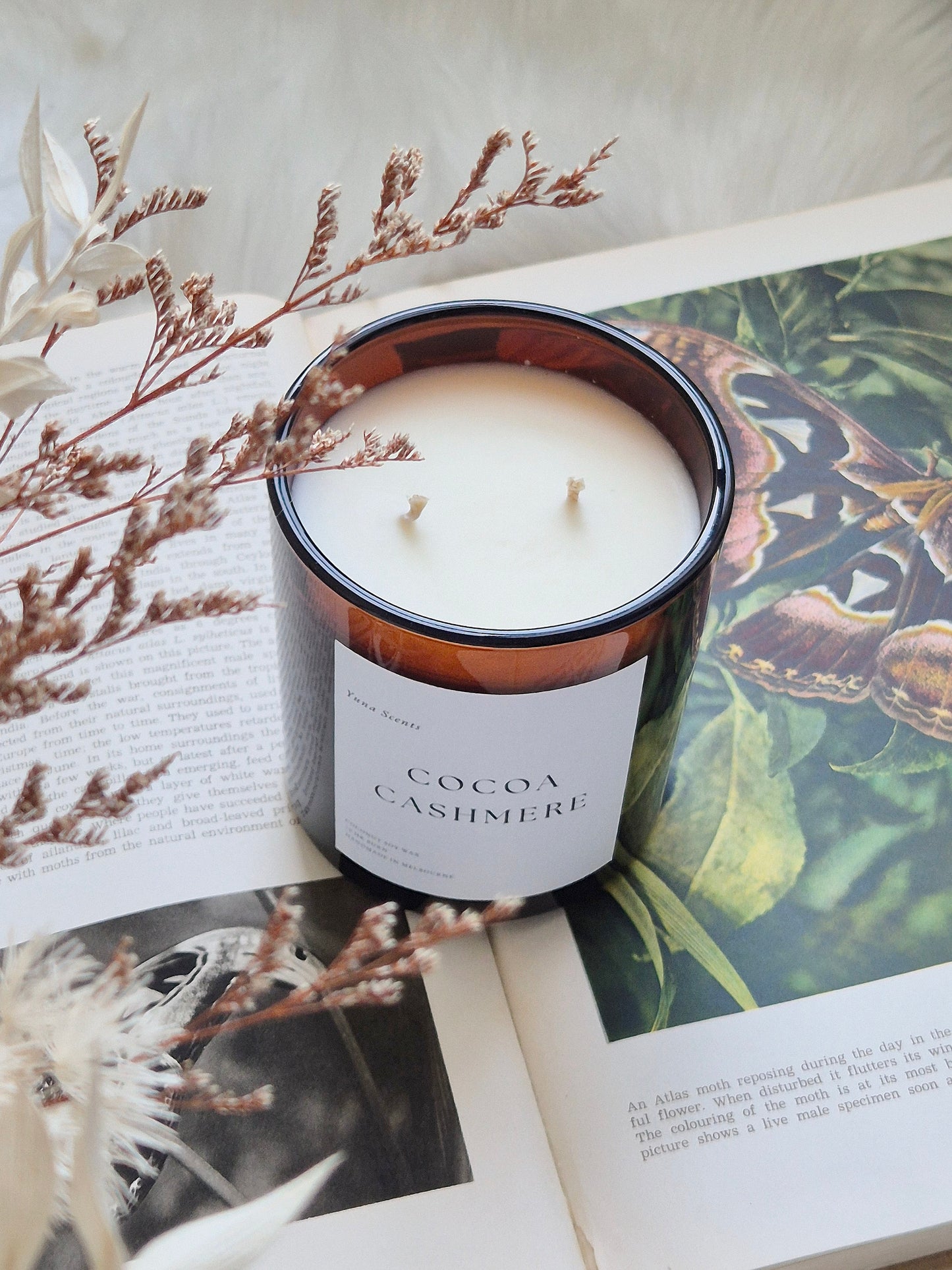 Cocoa Cashmere Coco Soy Candle