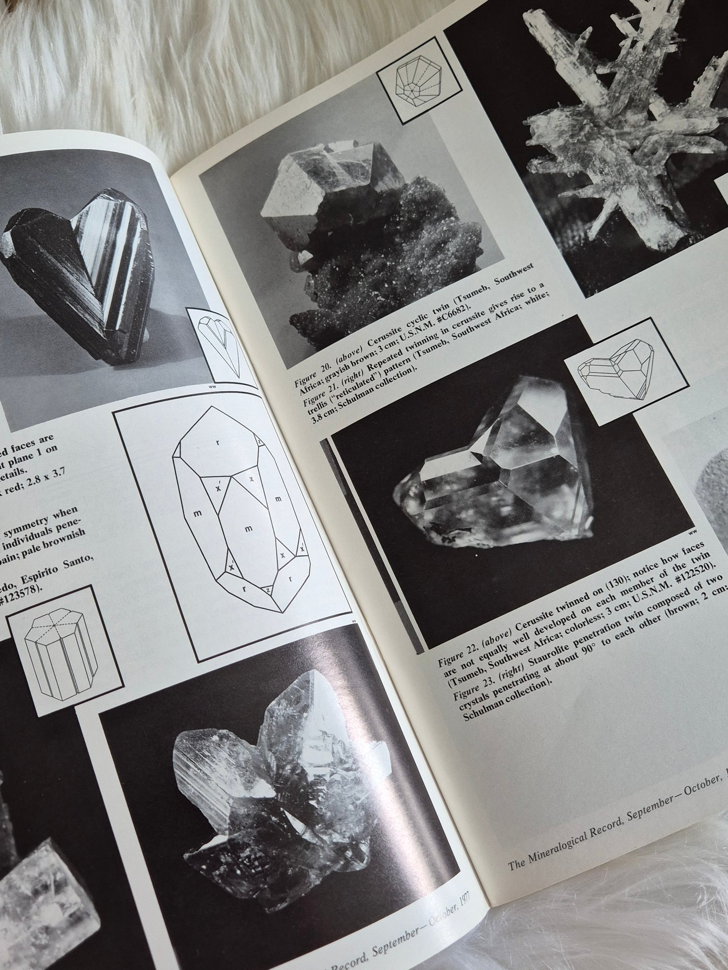 The Mineralogical Record October-June 1977 • Volume 8 • Number 5
