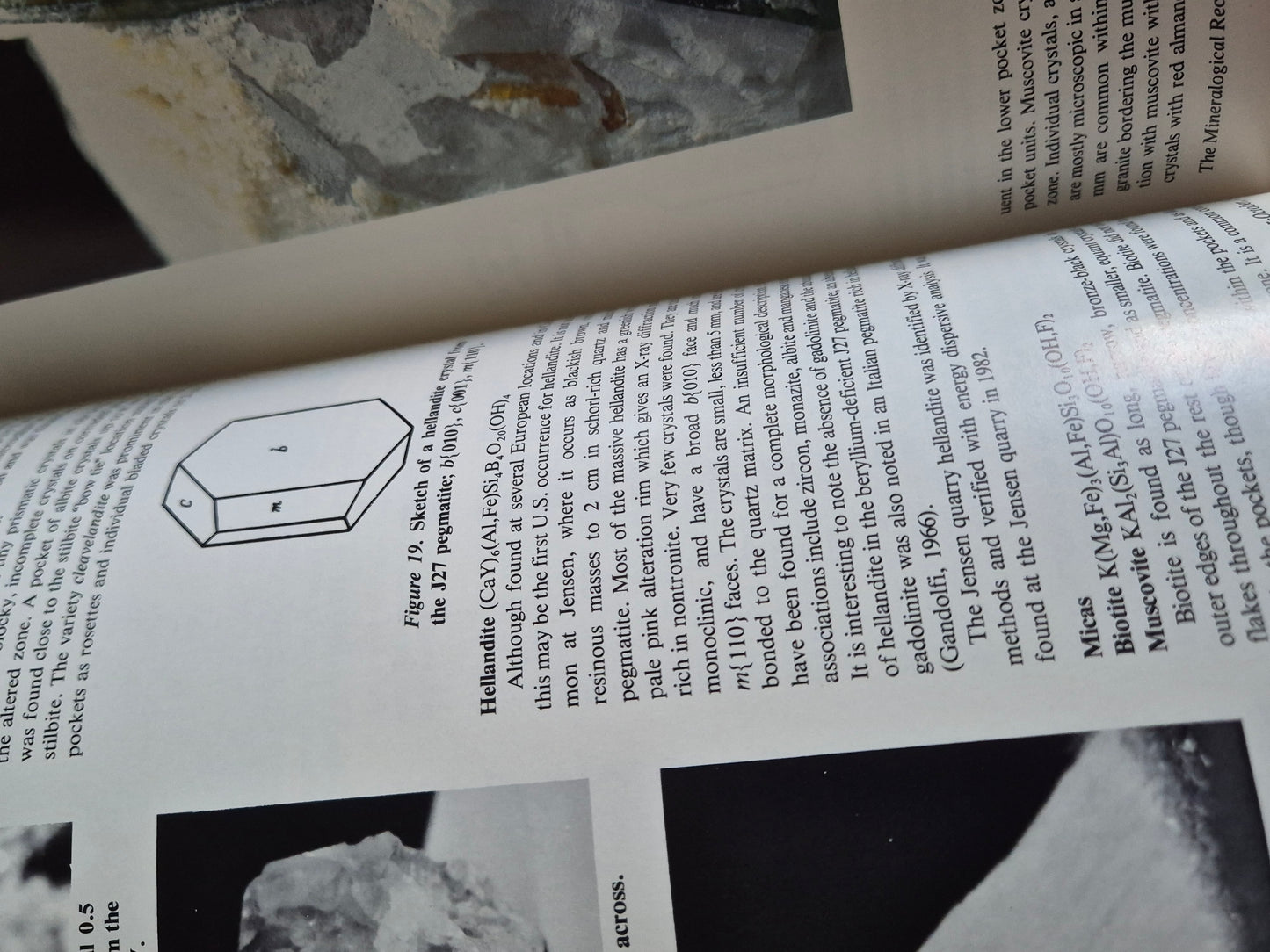 The Mineralogical Record September-October 1984 • Volume 15 • Number 5