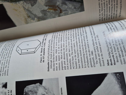 The Mineralogical Record September-October 1984 • Volume 15 • Number 5