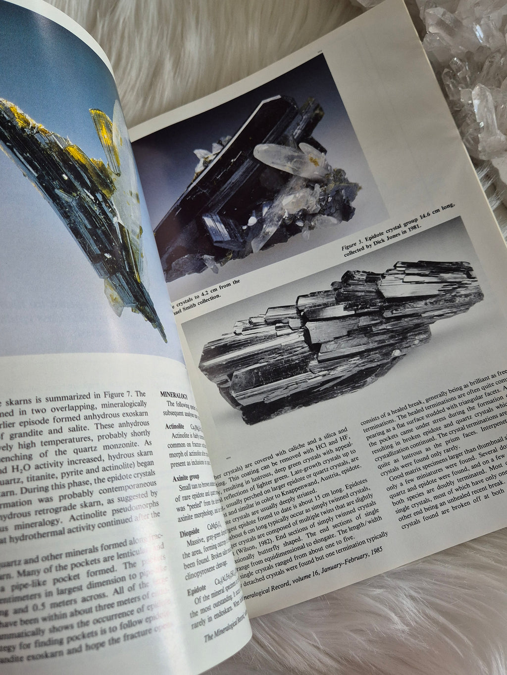 The Mineralogical Record January-Febuary 1985 • Volume 16 • Number 1
