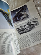 The Mineralogical Record January-Febuary 1985 • Volume 16 • Number 1
