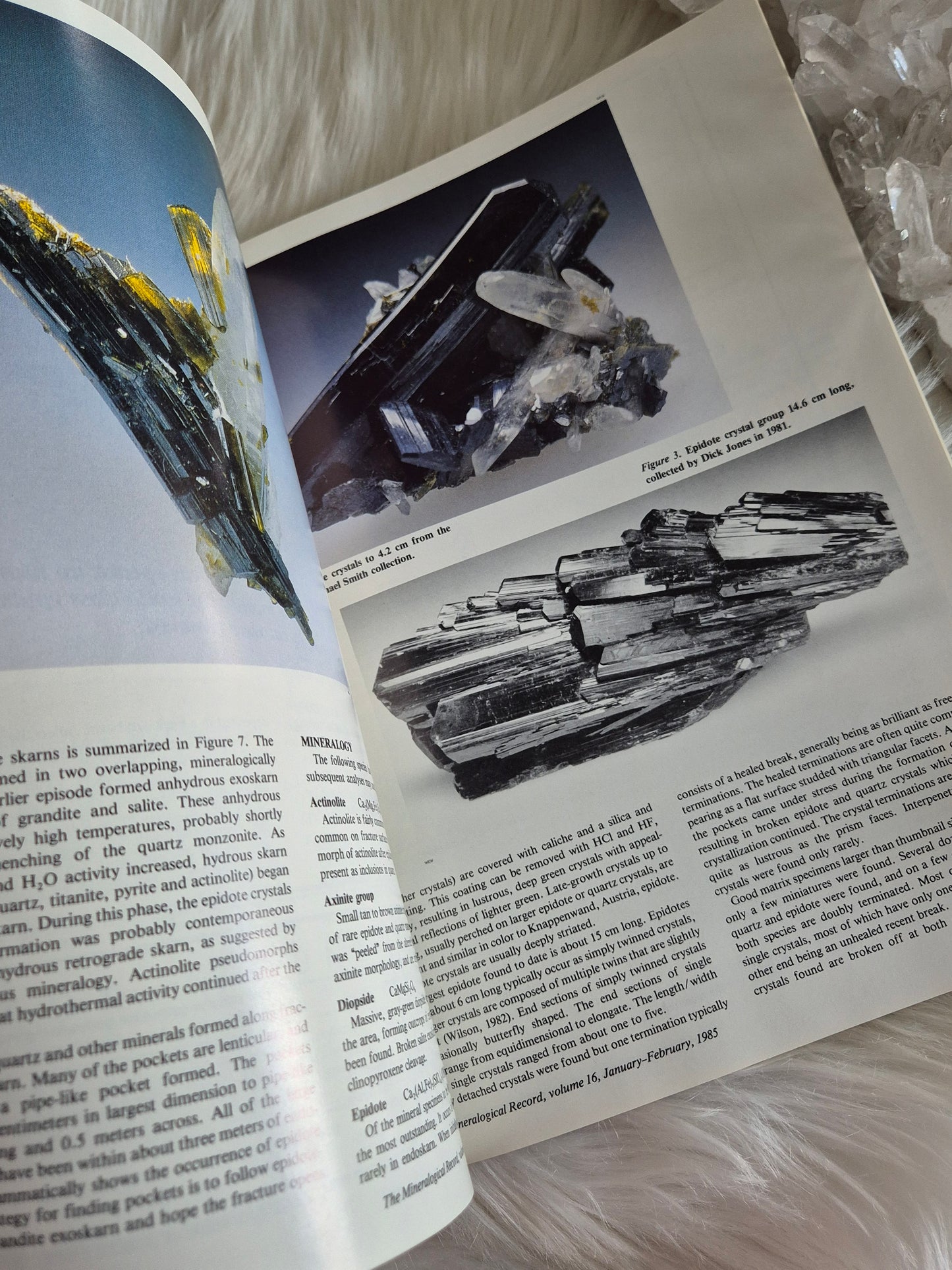 The Mineralogical Record January-Febuary 1985 • Volume 16 • Number 1