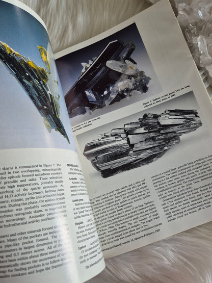 The Mineralogical Record January-Febuary 1985 • Volume 16 • Number 1