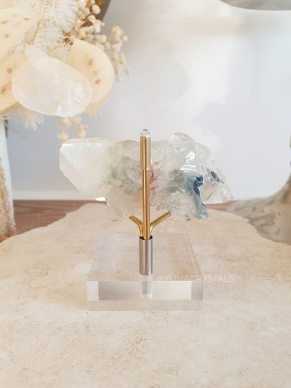 Specimen Stand Small