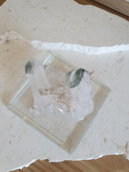 Glass Specimen Platform