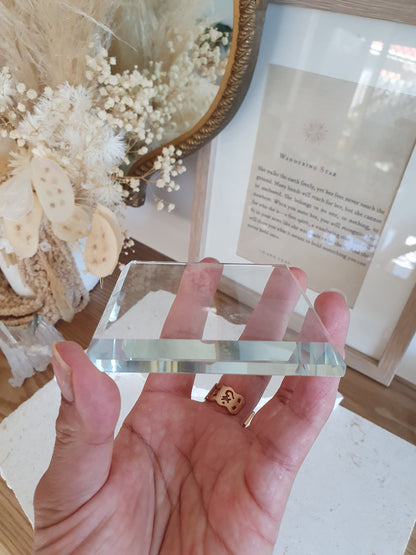 Glass Specimen Platform
