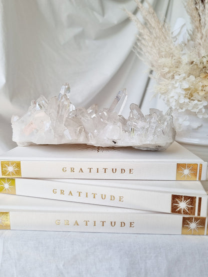 Gratitude Journal By Annie Tarasova