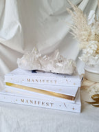 MANIFEST By Annie Tarasova