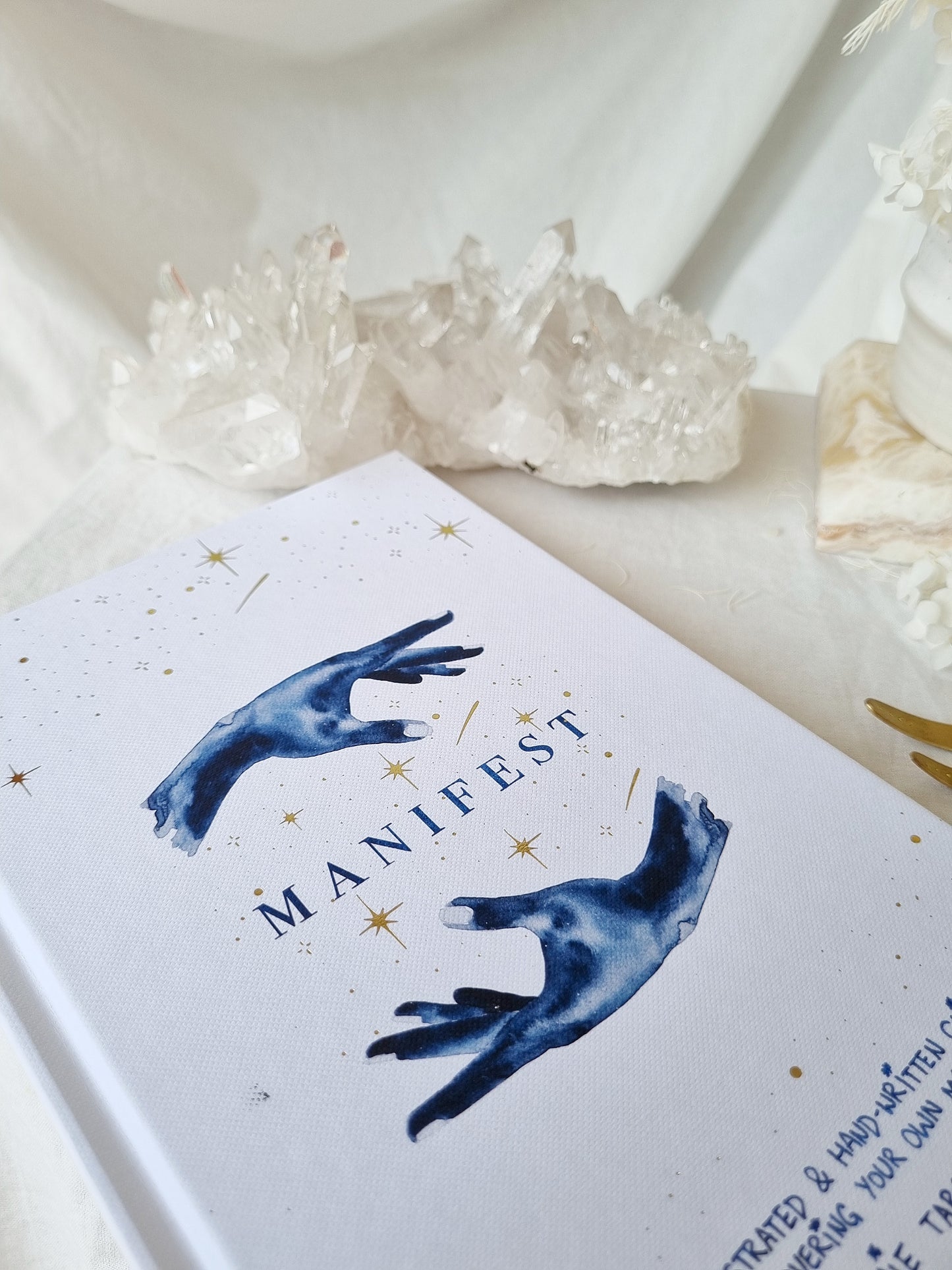 MANIFEST Book By Annie Tarasova