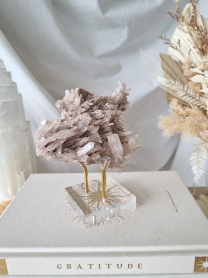 Pink Faden Quartz Cluster | PFC02