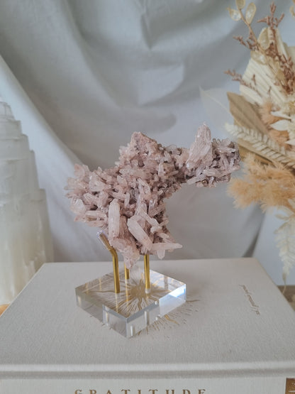 Pink Faden Quartz Cluster | PFC02