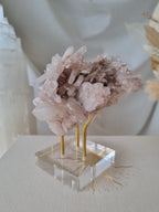 Pink Faden Quartz Cluster | PFC08