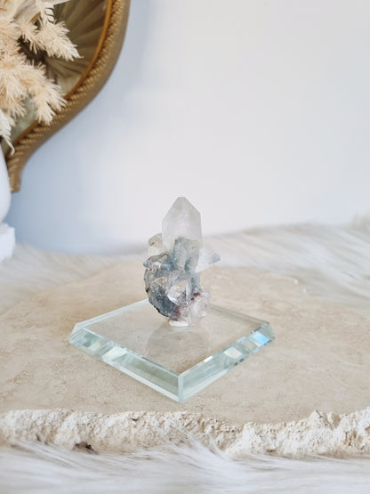 Glass Specimen Platform